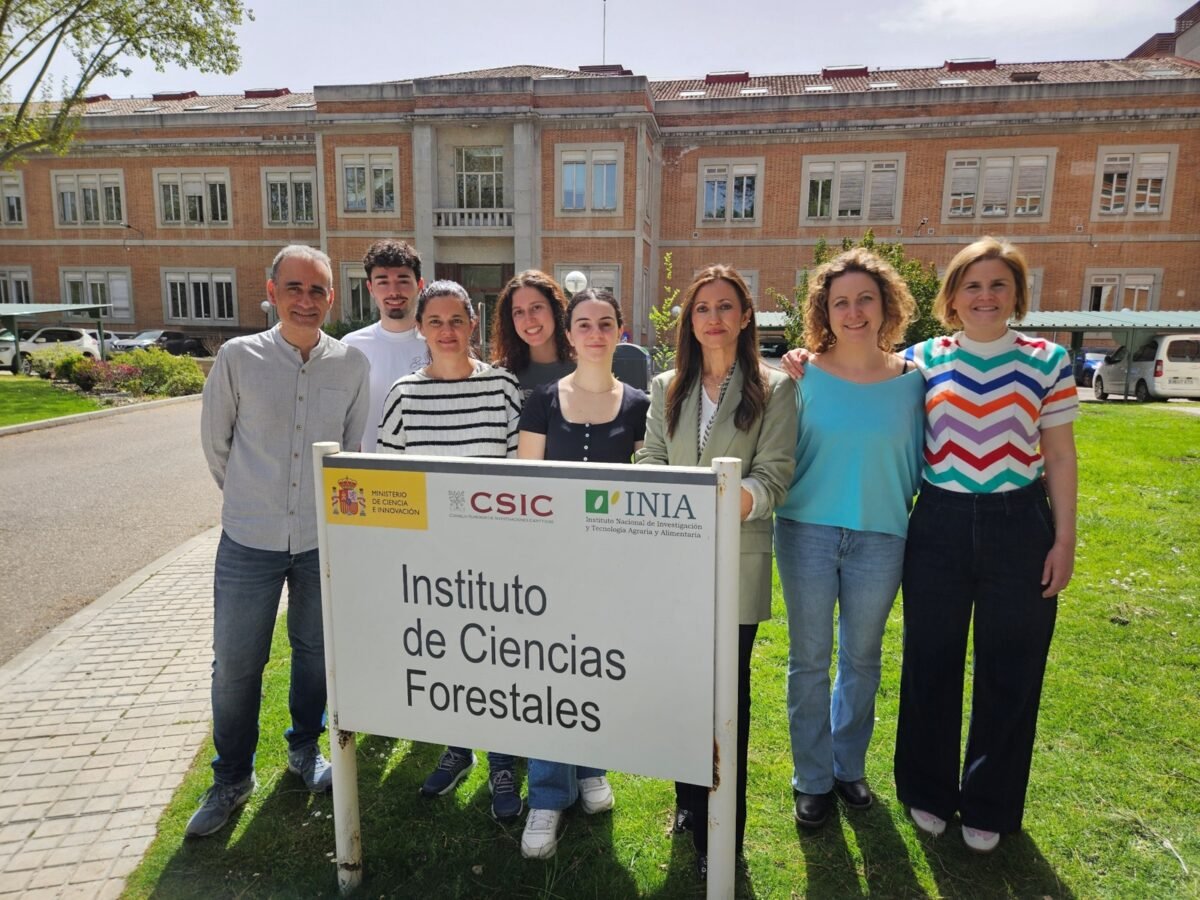 Grupo ValBioLig del ICIFOR-INIA, CSIC